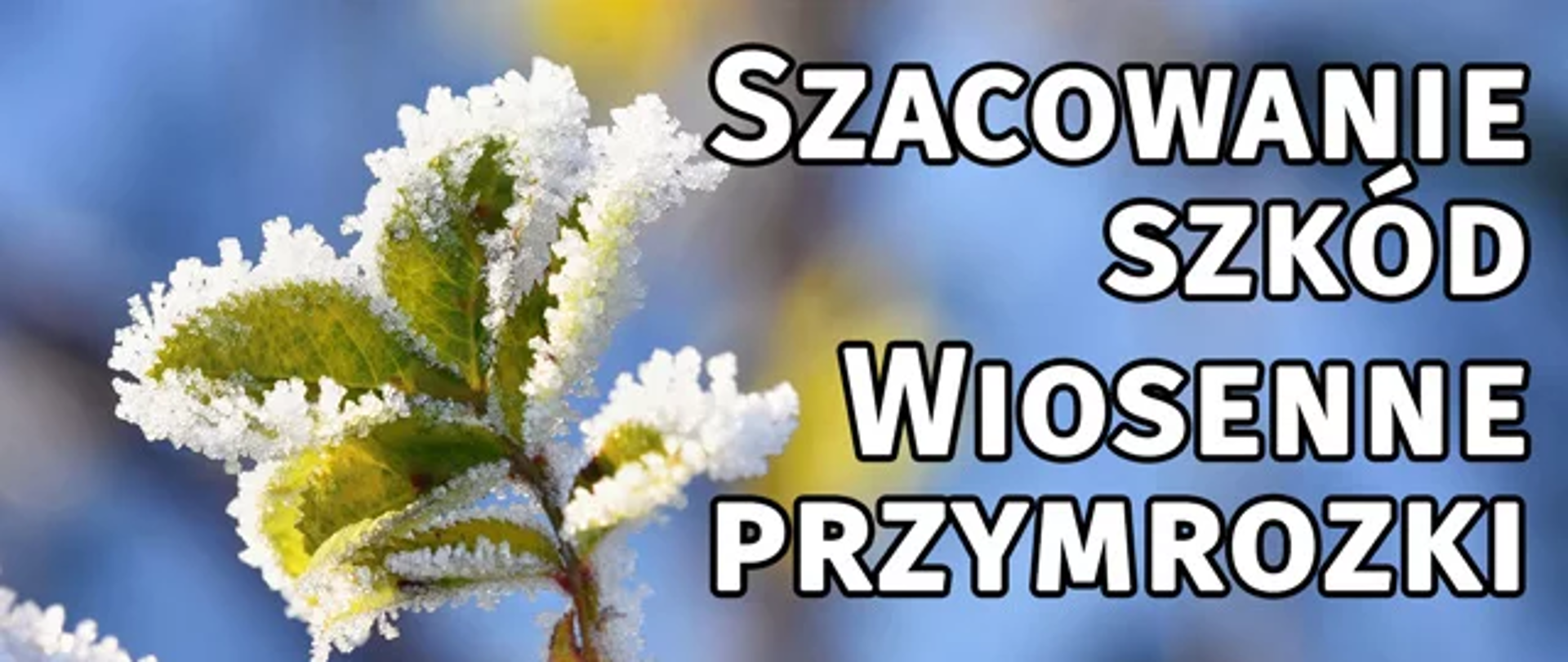 Wniosek o szacowanie strat w uprawach rolnych z powodu przymrozków