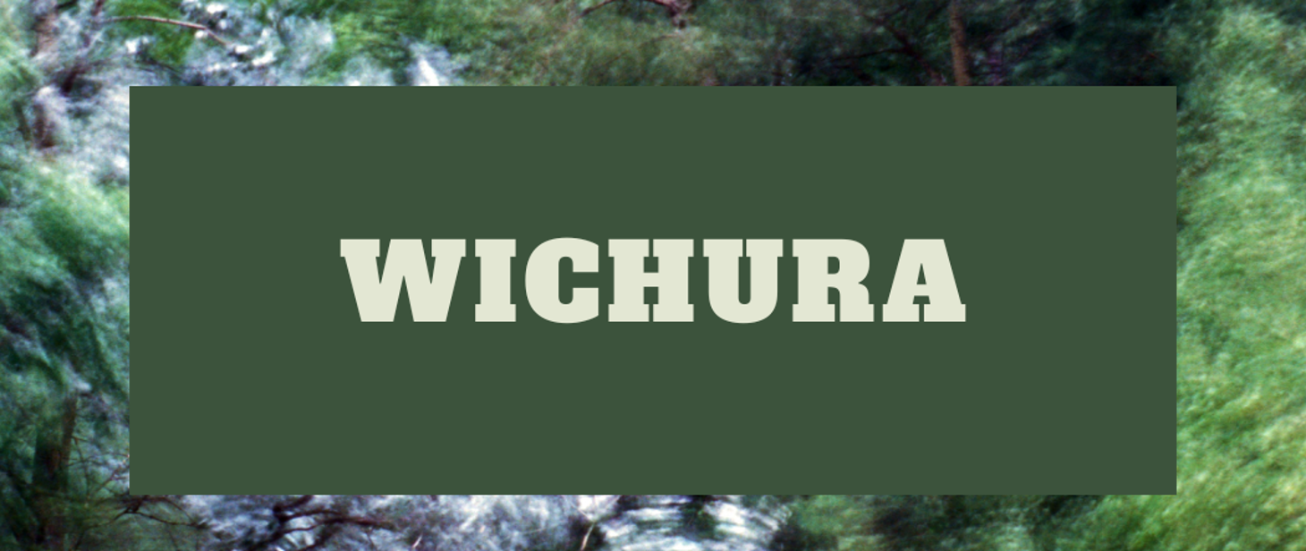 Wichura – jak się przygotować