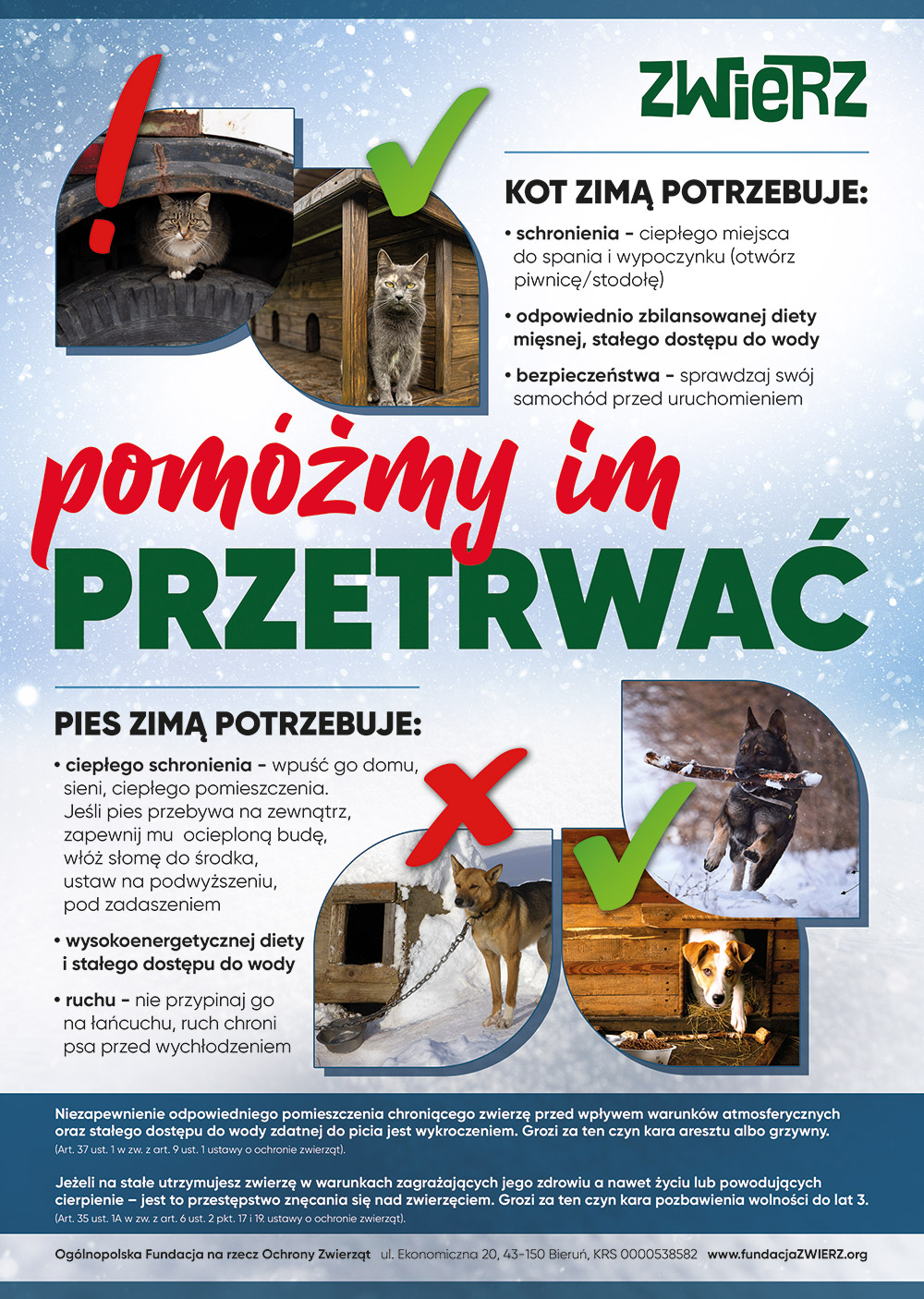 Kampania zima